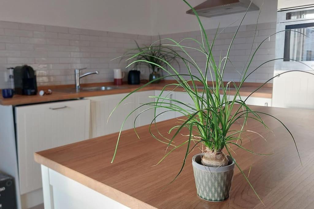 Ferienwohnung Stern Unterthingau ภายนอก รูปภาพ